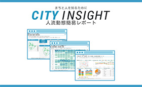CITY INSIGHT